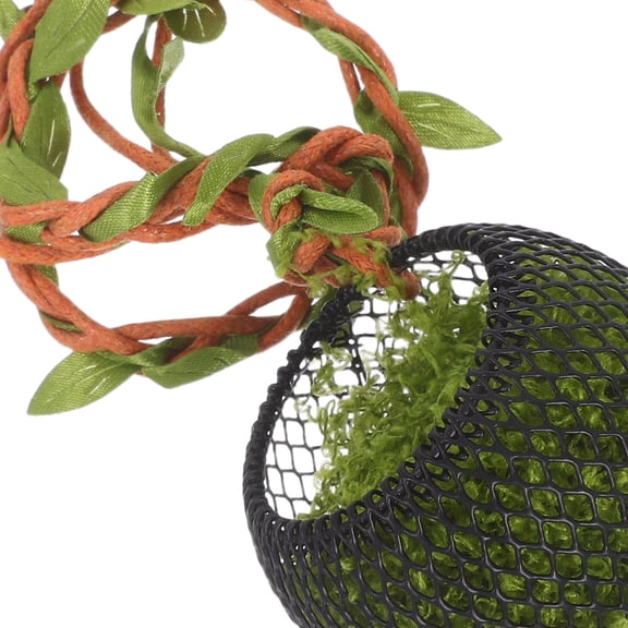 RENACLIPY Black Metal Jumping Spider Shelter for Realistic Natural Habitat Simulation and Spider Care