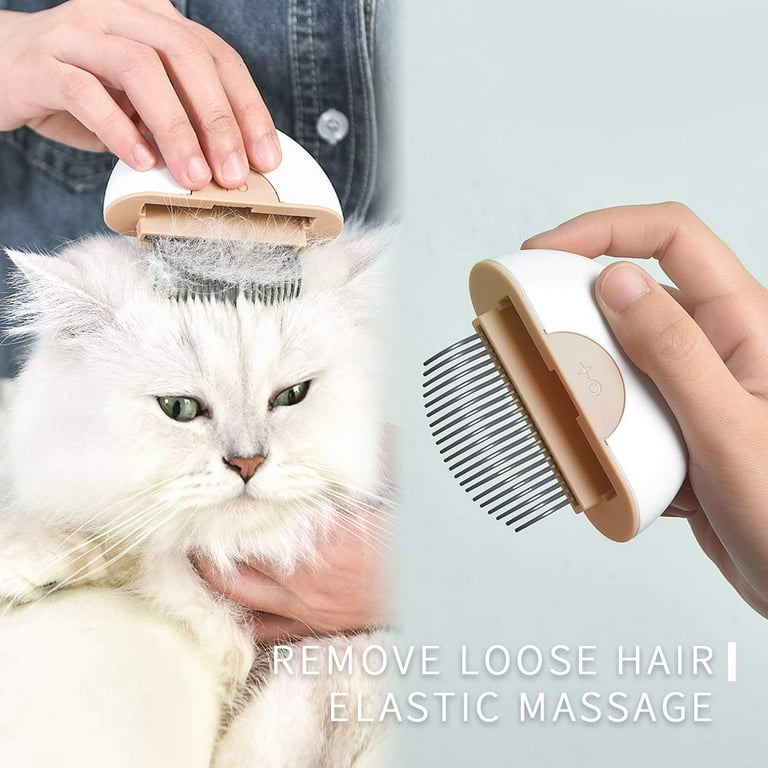 Cat shedding tools 2025