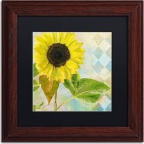 Trademark Fine Art "Soleil III" Canvas Art by Color Bakery, Black Matte, Wood Frame