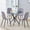 Black Table+ Four Gray Chairs, variant on Hi loPres 36.6-Inch Round Glass Dining Table Set for 4, Modern Silver Metal Legs with Transparent Chairs, 5-Piece Kitchen Room Furniture