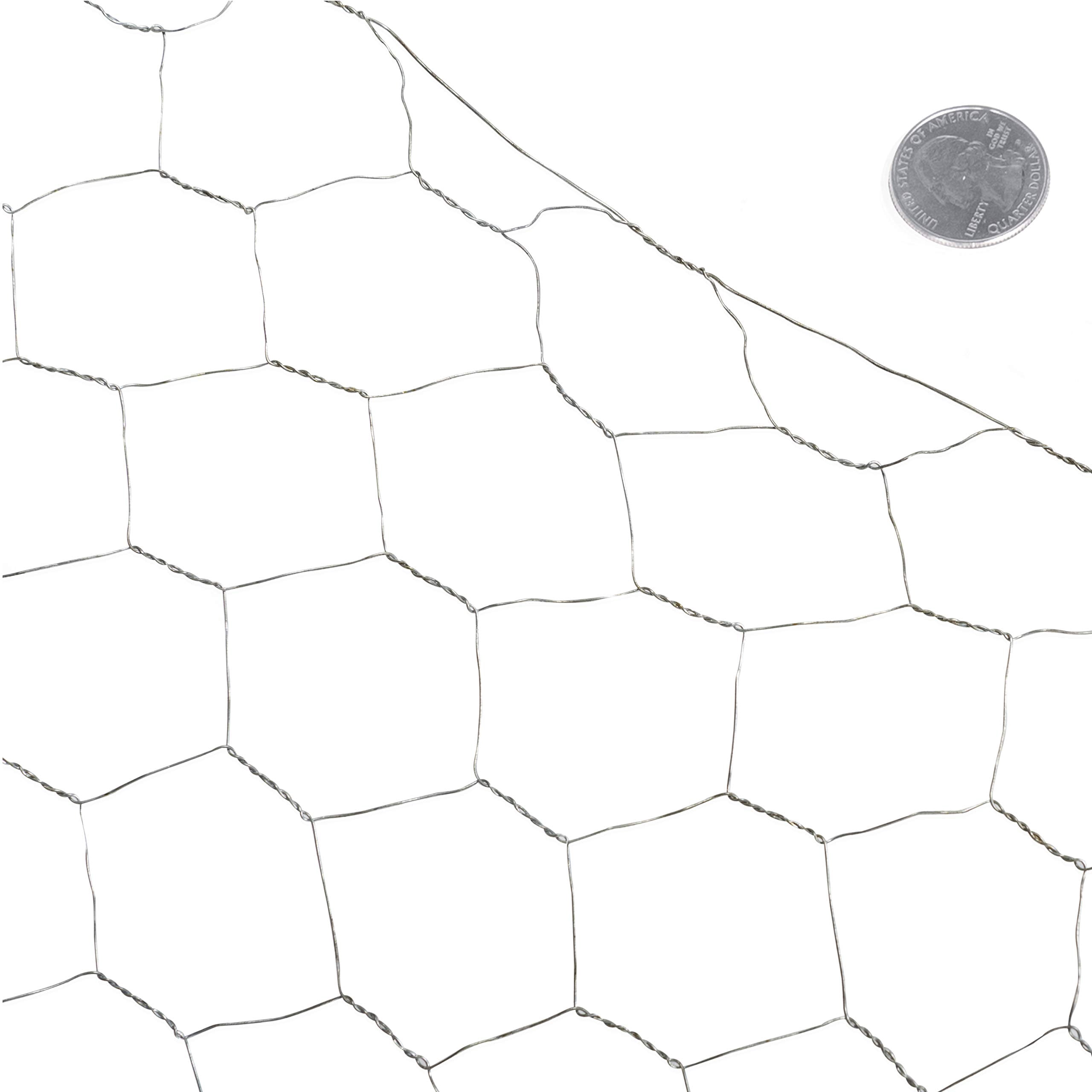 Fencer Wire 20 Gauge Galvanized Poultry Hex Netting with 2 inch Mesh