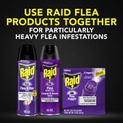 Raid Flea Killer Carpet & Room Spray with 4 Month Flea & Tick Control, 16 oz