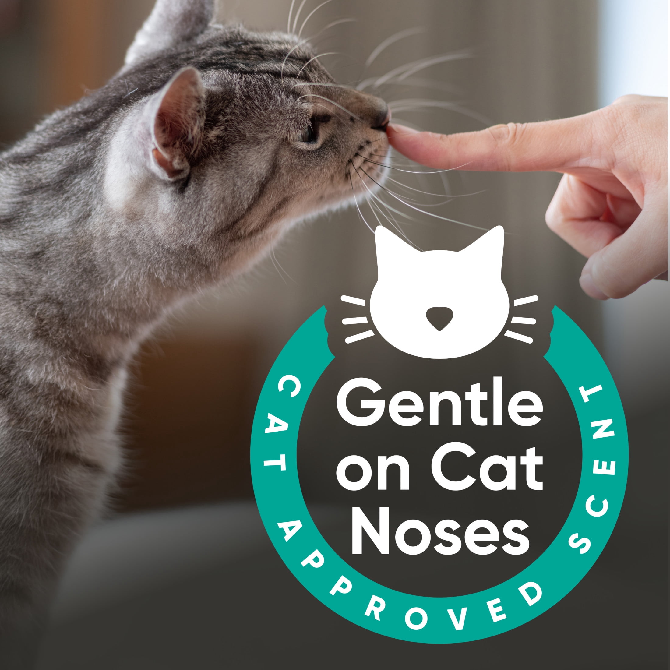 ARM & HAMMER Cat Sense Odor Control Cat-Approved Litter Deodorizer, Long-Lasting Scented Freshener Additive, Works with Most Litter, 24 Oz