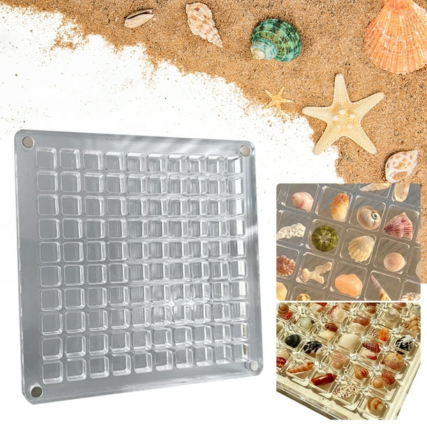 Caja Presentación Magnética Acrílica Conchas Marinas Caja Colección Rocas Transparentes (100 Cuadrículas Cuadradas)