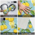 thumbnail image 3 of Balery Lemon Felpudo de franela, resistente a las manchas y a la decoloración, para uso interior y exterior, fácil de limpiar, 40 x 60 cm, 3 of 7