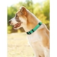 thumbnail image 2 of Reflective And Breathable Nylon Dog Collar, 2 of 4