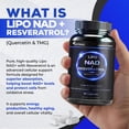 thumbnail image 3 of Liposomal NAD Supplement with Resveratrol, Quercetin and TMG for Anti Aging and Cell Regeneration, 60 Capsules, 3 of 7