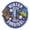 Winter Survival Patch, variant on 12 pieces 2" Custom Activity Scouts Applique Fun Patches -
