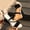 Black, variant on Double Strap Wedge Slides for Women - Open Toe Espadrille Platform Sandals, Comfortable Summer Heeled Shoes for Vacation, Daily Wear & Beach Trips Green 8.5(41)