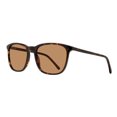 thumbnail image 1 of MP6007 Tortoise 56, 1 of 1