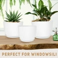 thumbnail image 4 of luoheqisen 12'' x 10'' x 9'' Round White Plastic Flower Pots (3 Count), 4 of 6