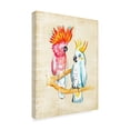 thumbnail image 2 of Trademark Fine Art 'Fanciful Birds IV' Canvas Art by Chariklia Zarris, 2 of 4