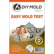 DIY Mold Test