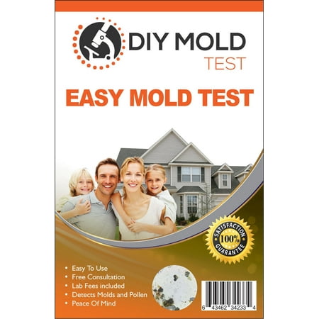 DIY Mold Test