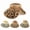 Khaki, variant on Women Sun Visors Wide Brim Foldable Packable Ponytail Beach Hat Straw Leopard Roll Up Bow Visor Sun Hats