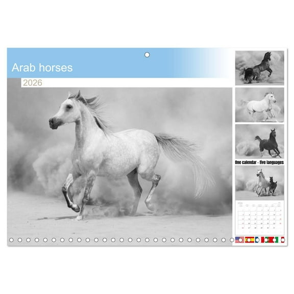 Arab horses (Monthly Wall Calendar 2026 11.7 x 16.5 (open)), CALVENDO 14 Month Calendar