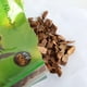 thumbnail image 1 of ND-08 Colchón natural ecológico Colchón de tamaño pequeño Soportes para de sustrato de gránulos - PICK - #4 650g, 1 of 4
