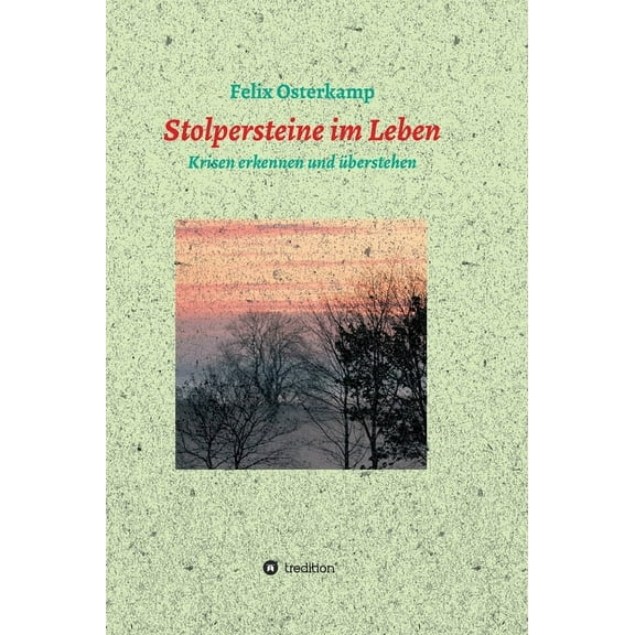 Stolpersteine im Leben - Krisen erkennen und überstehen (Hardcover)