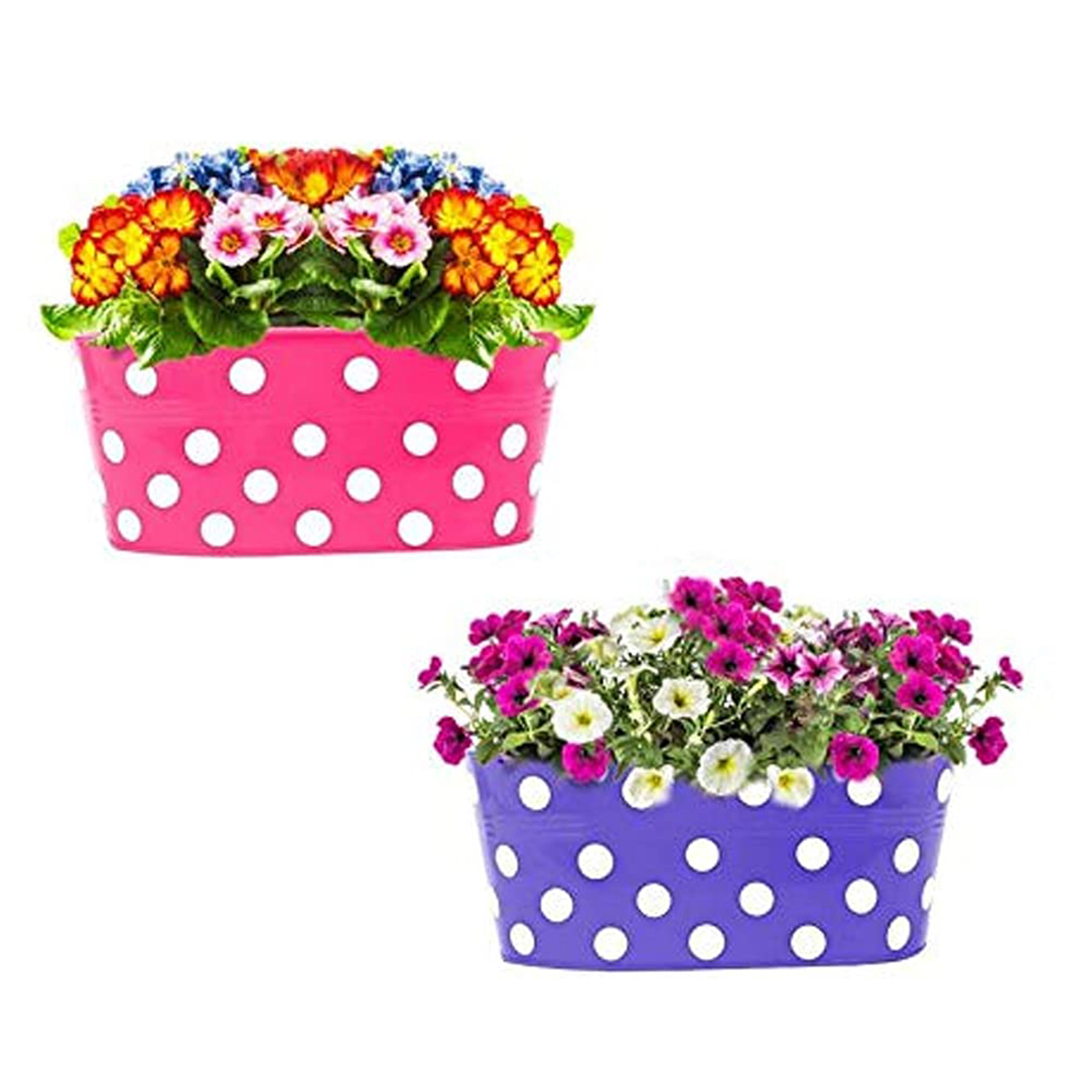 Kraft Seeds Oval Metal Planters (Multicolor, Pack of 2) Metal