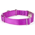 thumbnail image 3 of Country Brook Petz® Heavyduty Nylon Martingale with Premium Buckle, 3 of 5