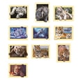 thumbnail image 2 of Animal Resina 5D DIY Diamante Pintura Bordado Punto de Cruz Imagen Decoración de la pared del hogar - L2005 Eigraketly JJ13343-01, 2 of 6