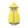 thumbnail image 2 of Veste Dinosaure pour Tout-Petit Garçon Fille, Manteau Sans Manches pour Enfants, Gilet à Fermeture à Glissière, Hauts, Vêtements d'Extérieur, Chandails à Capuchon, Gilet 0-7 Ans, 2 of 5