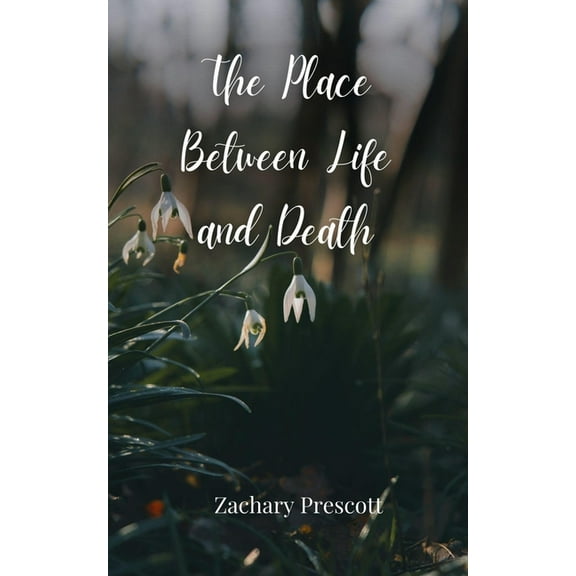 The Place Between Life and Death, (Paperback)