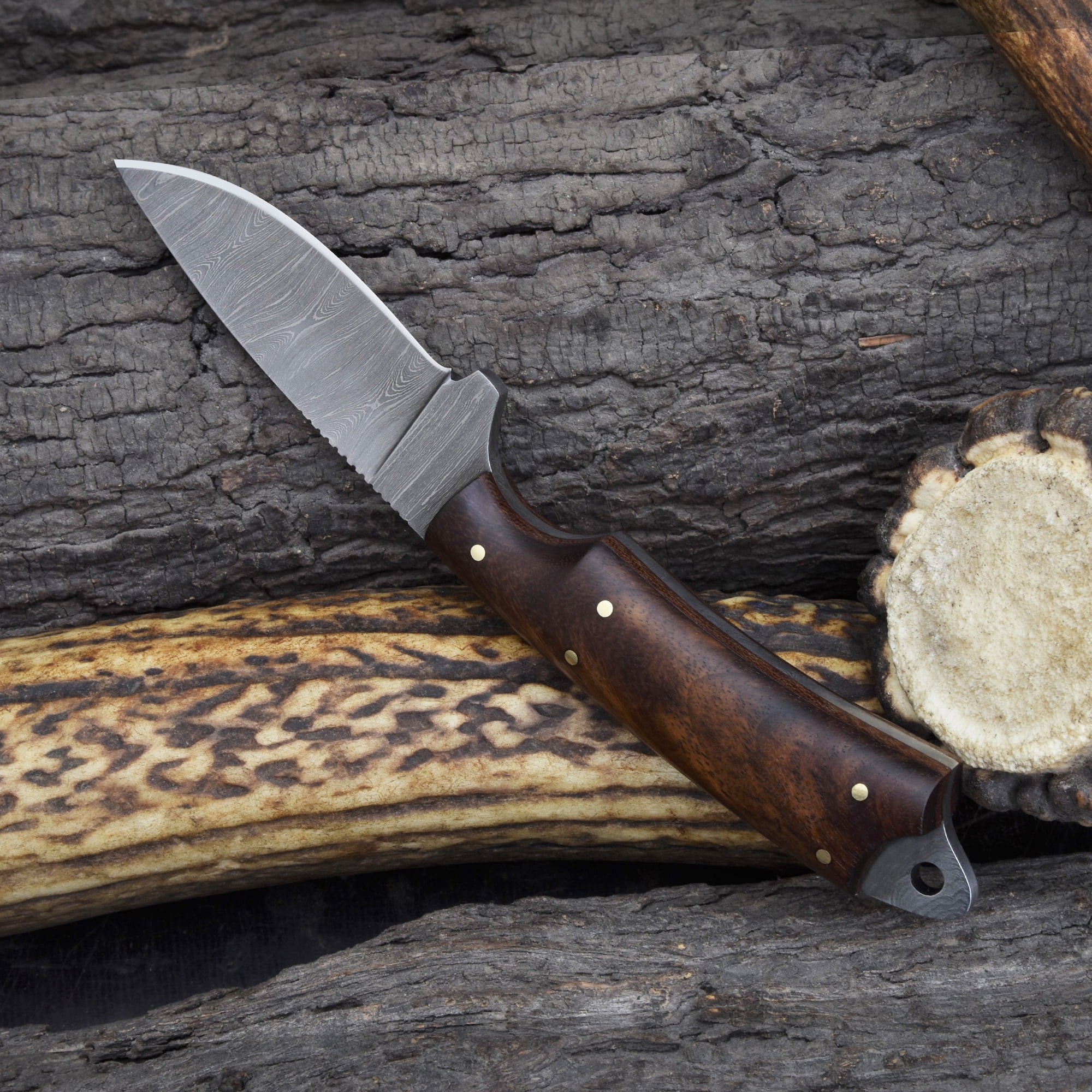 Knives Ranch Model 2001 Damascus Steel Fixed Blade Knife with Rosewood Handle – Durable Hunting, Camping, Outdoor Utility & EDC Knife