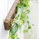 thumbnail image 3 of Plantas colgantes artificiales Toystoory decoración interior y exterior, 3 of 6