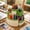 Green, variant on Pencil Holder For Desk, 5 Slots 360°Degree Rotating Desk Organizers And Accessories, Desktop Storage Stationery Supplies Organizer, Cute Pencil Cup Pot For Office, Home