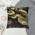 thumbnail image 2 of GOSMITH  Throw Pillow Cover - Rain-Wet Bracket Fungi Mushroom Shelf Fungi Fungi, 2 of 5