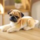 thumbnail image 1 of Simulation Plush Dogs Toy Look Alike Husky Dalmatians Akita Miguel Sharpie Puppy Dolls Lovely Stuffed Toys Kids Birthday GiftWhite32cm Deng Xun unisex, 1 of 2