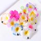 thumbnail image 3 of 12pcs Plumeria Hair Clips Summer Beach Barrettes Hair Clips Plumeria Hair Accessories, 3 of 4