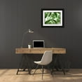 thumbnail image 3 of Kimberly, Allen 32x25 Black Ornate Wood Framed with Double Matting Museum Art Print Titled - Tropic Green 3, 3 of 4