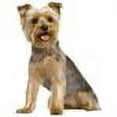 thumbnail image 2 of Wallhogs Terrier Cutout Wall Decal, 2 of 2