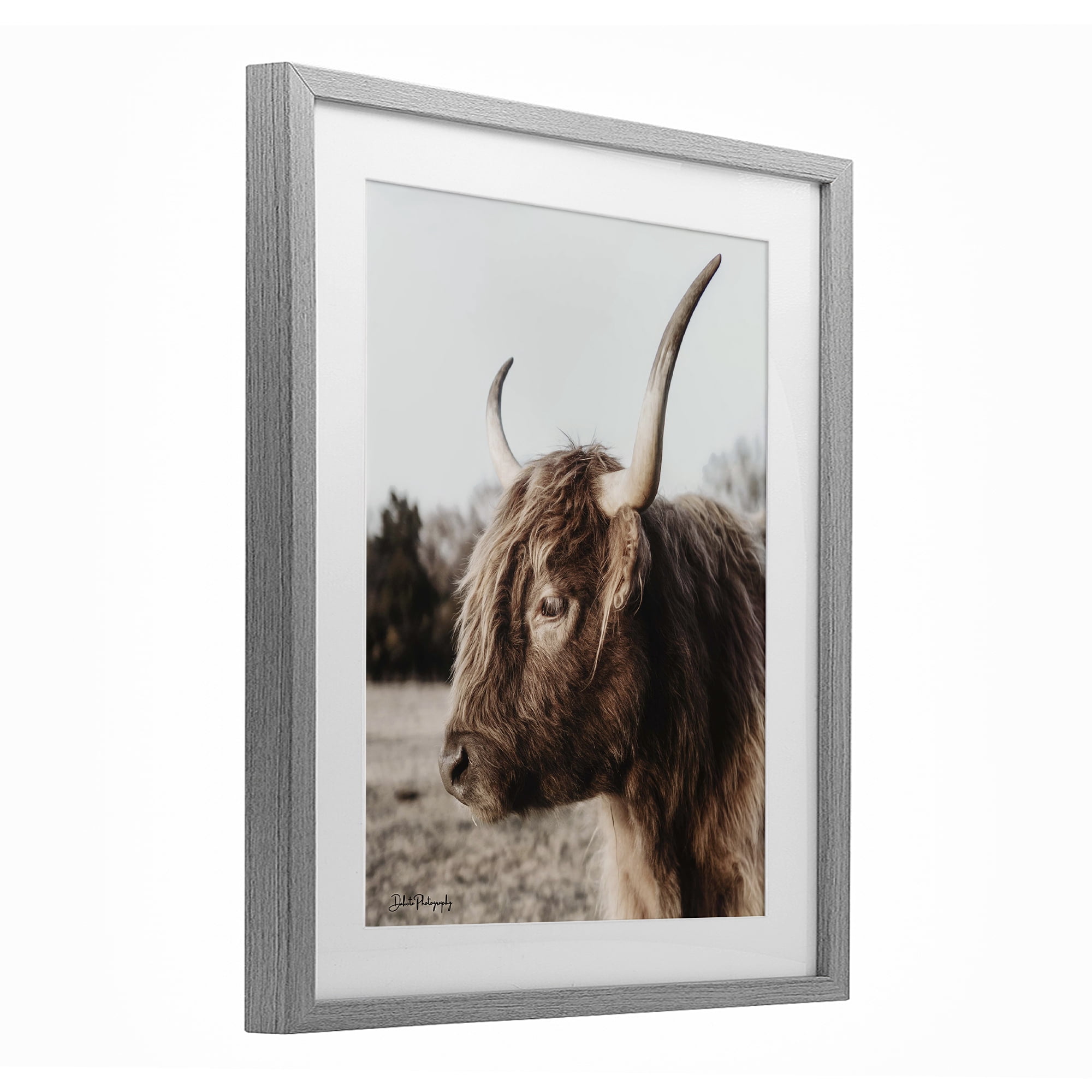 Stupell Industries Horned Cattle Peering Gray Framed Print Under Glass, design by Dakota Diener
