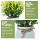thumbnail image 5 of Flores artificiales en maceta, plantas de imitación, decoración de plantas en maceta, flores de plástico, bonsái para balcón y patio., 5 of 7