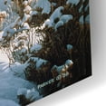 thumbnail image 3 of Epic Art 'Winter Sage-Coyote' by Ron Parker, Acrylic Glass Wall Art, 24"x16", 3 of 8