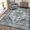 Blue, variant on HOMERRY 8' x 10' Area Rugs for Living Room Washable Oriental Bedroom Carpet, Gray