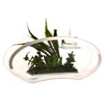 thumbnail image 1 of Jarrón decorativo de cristal con planta LED verde de 12,5 cm, 1 of 1