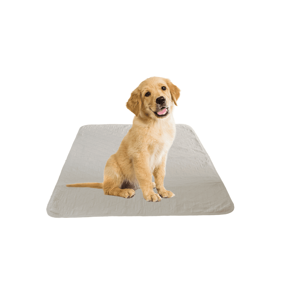 Puppy Training Washable Pee Pad Heavy Duty, Super Absorbent