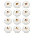 thumbnail image 1 of Artificial Pumpkins Photography Prop Fall Fillers Simulation Foam Pumpkins for Garden Tabletop Fall Decor White, 1 of 2