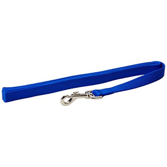 Coastal Pet Products DCP606BLU Nylon Collar Lead for Pets, 3/4-Inch by 6-Feet, Blue