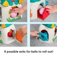 Fisher-Price Light-Up & Roll Frog Musical Ball Drop Activity Toy for ...