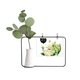 thumbnail image 1 of Coliflor vegetales sabrosos Healthy acuarela Marco De Metal Florero De Cerámica Decoración, 1 of 4