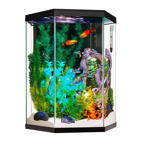 Imagitarium Hexagonal Glass Aquarium Kit with Lighting Filtration & Accessories 20 Gallons