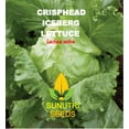 thumbnail image 2 of Lettuce Seeds, 1200+ Iceberg, Crisphead, Heirloom, Non GMO Seeds Lactuca Sativa, 2 of 2