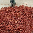 thumbnail image 7 of Realistic Miniature Leaves Simulation Leaves for DIY Mini Model Railway Fairy Garden Architecture Diorama Scenery Landscape Layout, Pack of 4, 7 of 7