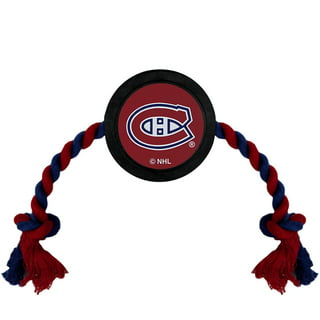NHL Montreal Canadiens - Retro Logo 13 Wall Poster with Push Pins, 22.375  x 34 