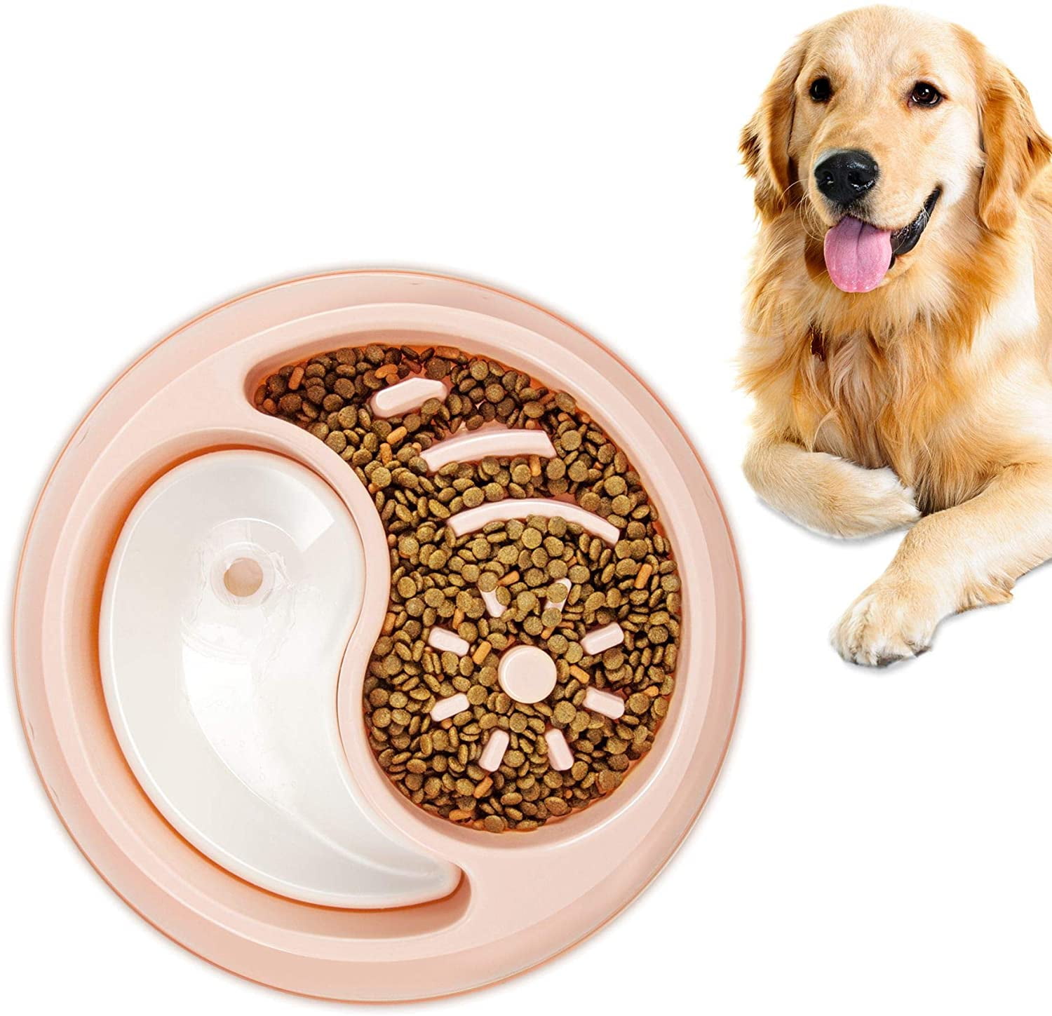 Do Raised Dog Feeders Cause Bloat